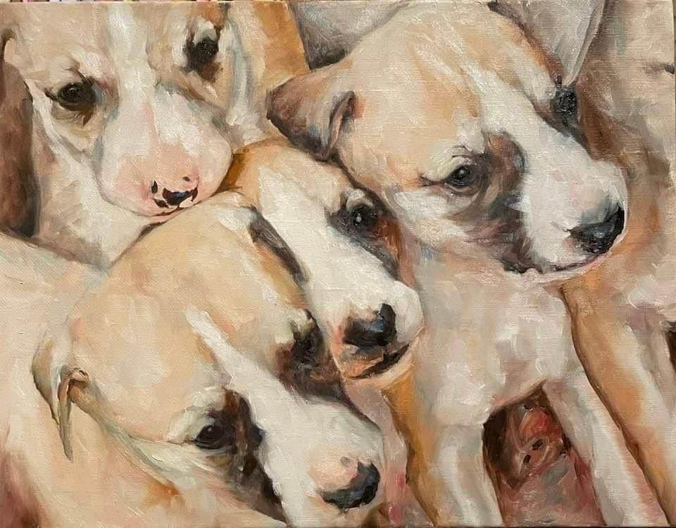 Question of the Week